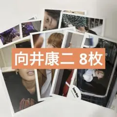 向井康二 公式写真 8枚