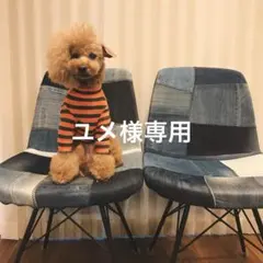 ユメ❄様専用　犬服　ハンドメイド
