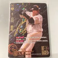 ドリームオーダー　山川穂高のサイン入りカードです。