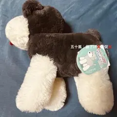 新品　シュナとボブ　すたんだっぷ　JB　ぬいぐるみ　タールのサムネイル