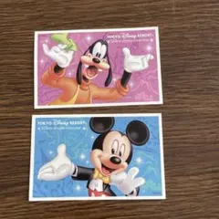 使用済み　東京ディズニーランド 1日パスポート 2枚