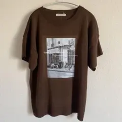 新品　M サマーニット　カットソー　トップス　プルオーバー