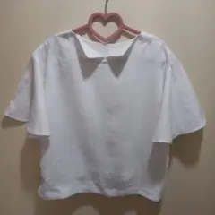 Item thumbnail for item df034714-573b-4cf7-8048-36334653281e