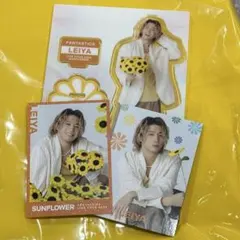 瀬口黎弥 アクスタ トレカ SUNFLOWER