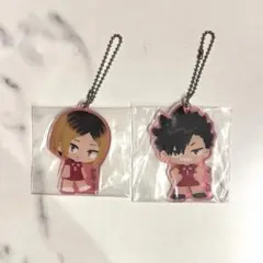 一番くじハイキュー!!ゴミ捨て場の決戦2 H賞 孤爪研磨＆黒尾鉄朗