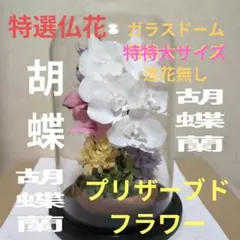 特選仏花　ジャンボサイズ　 ドーム入り　胡蝶蘭 　蓮の花 プリザーブドフラワー 特選仏花 ジャンボサイズ ドーム入り 胡蝶蘭 蓮の花 プリザーブド