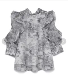 オーガンジーシースルーブラウス