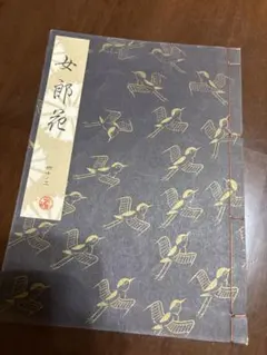 Item thumbnail for item 31bbc7ca-7fb4-4b43-bf24-ecb0aaf6e9b5