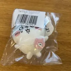 ちいかわ　ちいかわだらけくじE賞全身ぬいぐるみバッジ（わ〜んッ）