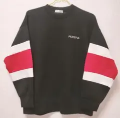 【美品】リボーン＆アウディ スウェット トレーナー 黒 フリーサイズ ゆるダボ