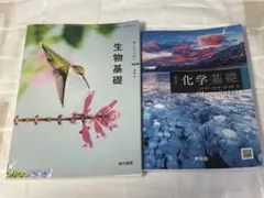 Item thumbnail for item a817e132-f358-454f-8374-504e077e842e