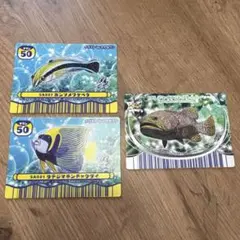 2026年最新】マリンマリン 魚カードの人気アイテム - メルカリ
