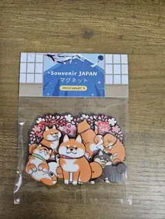 Item thumbnail for item aff909af-589b-4321-8339-06a7fb526236