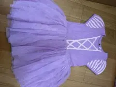 Item thumbnail for item 1d81ae93-5703-4038-849c-c42d3eb2a995