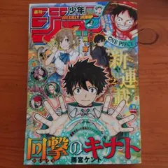 Item thumbnail for item ec11bf12-54f2-4f93-8cc6-0cd773ba46de