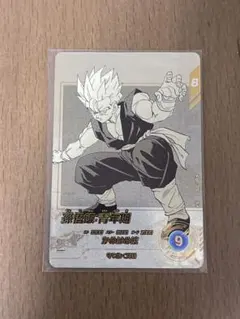 アドバンスパック APT-009 孫悟飯:青年期 N パラレル