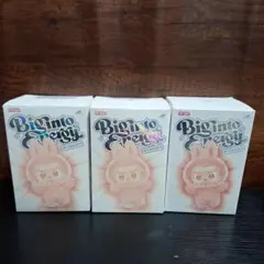 正規品　ラブブ　 MONSTERS Big in Energy 3点