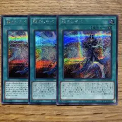 3枚セット 魂のしもべ 25thシークレットレア 遊戯王 魂のしもべ 25thシークレットレア クオシク - メルカリ