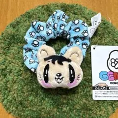 ジェ猫 シュシュ [数原龍友] GENERATIONS