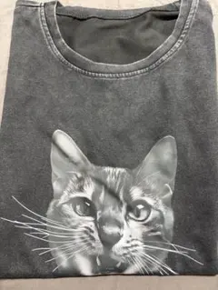 猫ちゃん柄Tシャツ　M ヴィンテージデザイン　モノトーン猫