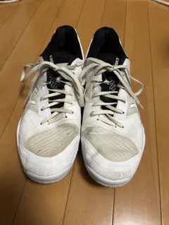 SKY ELITE FF 4 バレーボールシューズ 29cm 石川祐希選手モデル - メルカリ