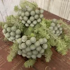 こーしゅか様 リクエスト 2点 まとめ商品