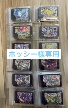 ホッシー様専用　ベストタッグ第1弾　おまけ付き　ポケモンフレンダ