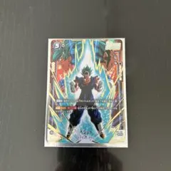 ドラゴンボールカードベジット　SCR⭐︎