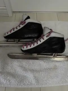 Item thumbnail for item a1bbaadb-5e9c-4e73-a243-763efc49359b