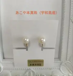 あこや本真珠 のネジバネ式イヤリング 宇和島産