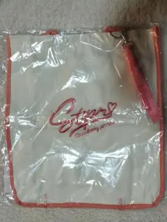 【新品未使用】すとぷり莉犬くん　チャーム付きスクエアトート　おまけ付き