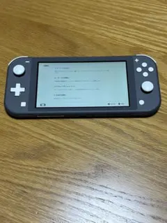 R*H様 Nintendo Switch Lite グレー 本体のサムネイル
