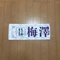 Item thumbnail for item 068ae260-52c8-471e-9ad1-4547ae5a794c