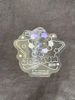 JOCHUM ジェオチャム ステッカー　ビラ　マツキヨ　ココカラ