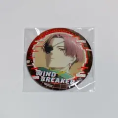WIND BREAKER ウィンブレ トレーディンググリッター缶バッジ 蘇枋