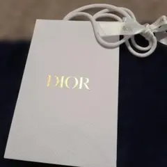 Dior ショップ袋 ホワイト レザー調