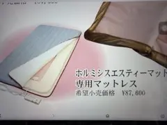 2026年最新】ホルミシスエスティーマットの人気アイテム - メルカリ