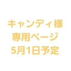 そると様専用ページ