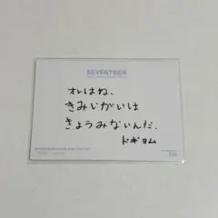 SEVENTEEN セブチ SVT トレカ ドギョム DK ②