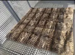 Item thumbnail for item 65d52872-e508-4549-b647-205262e71234