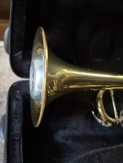 2026年最新】SELVA トランペットの人気アイテム - メルカリ