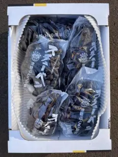 【最終売尽　訳あり】青森県津軽地方産ぶどう　スチューベン　約２キロ　自家用加工用