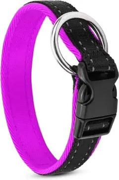 ✨1点のみ✨猫用首輪　小型犬用　(XS.パープル)