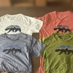 パタゴニア　クマのグラフィックTシャツ4枚セット