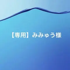 【専用】みみゅう様