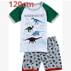 子供服 キッズ 半袖 パジャマ ルームウェア 恐竜 男の子 6歳 ダイナソー