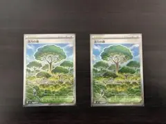 ポケモンカード　活力の森sr 2枚セット