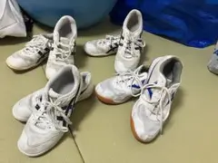 아식스 교육용 신발 4켤레, 체육화, 대량판매