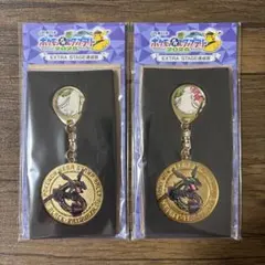JR東日本ポケモンスタンプラリー2025 黒いレックウザ スペシャルメダル2個