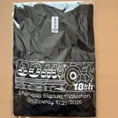 しまだ大井川マラソン 18th Tシャツ Mサイズ